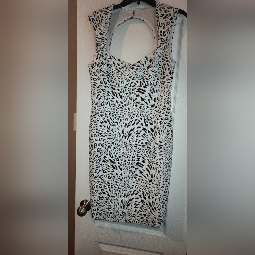 Cache Dress - Picture 3 of 8